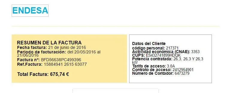 virus endesa